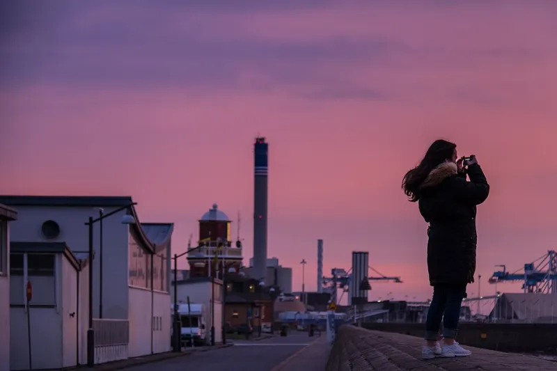 Strange Picks and Hidden Gems: What Really Happens to Your Streaming Feed After Midnight
